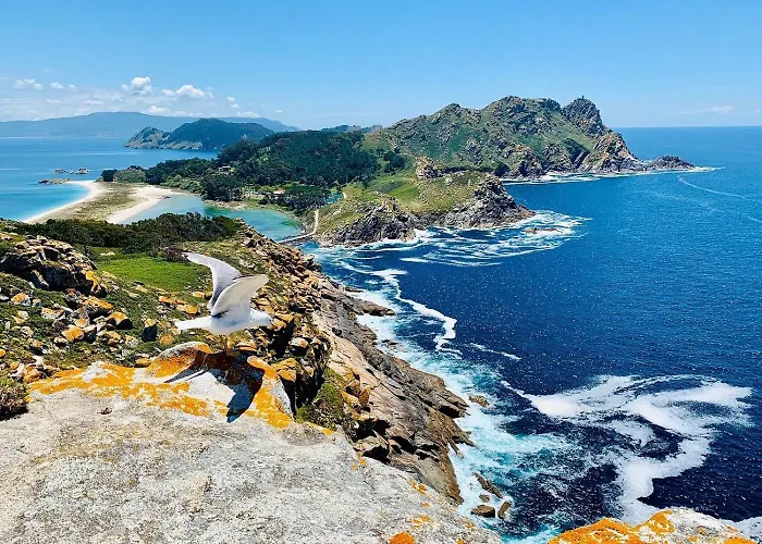 Chousina Дом отдыха *